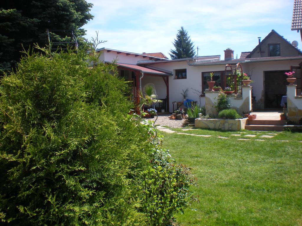 Sophia Cozy Self Catering Apartment Dolni Brezany Exterior foto